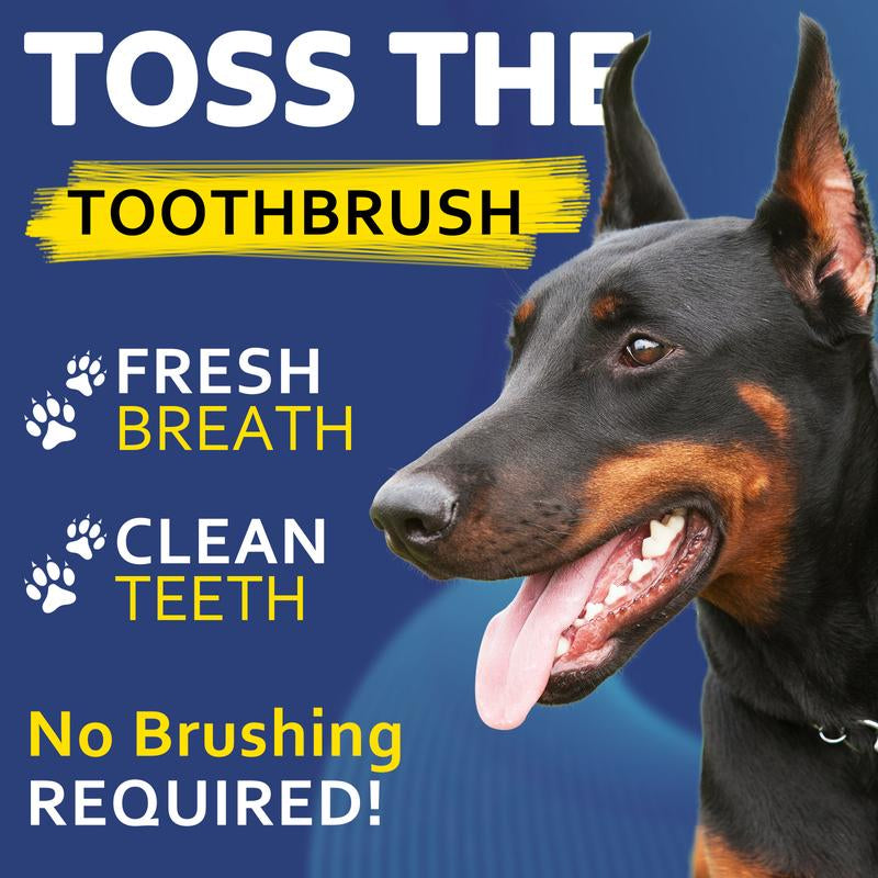 Glorysmile No Brushing Dog Toothpaste, Continually Freshens Breath for 24 Hours, Delicious Flavors like Chicken